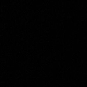 Meet your Posher, Lizzy